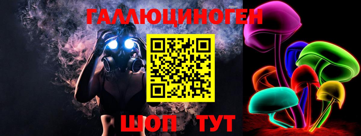 Псилоцибиновые грибы мицелий Дивногорск