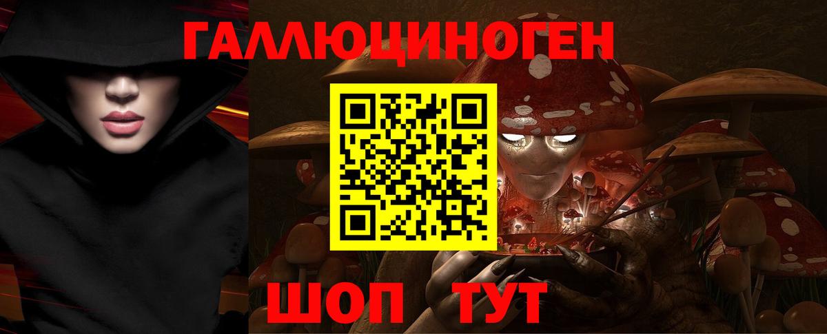 Дивногорск  Галлюциногенные грибы Psilocybine cubensis  Вход с VPN 